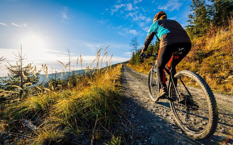 Mountainbiker auf einem Trail im Harz
