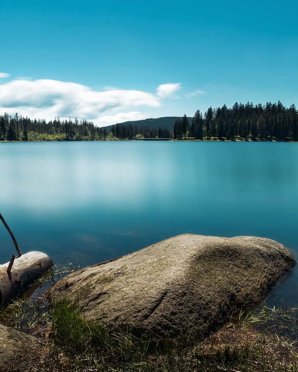 Oderteich bei schönstem Wetter