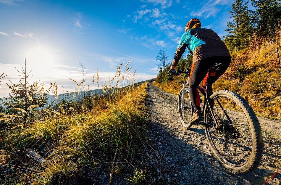 Mountainbiker auf einem Trail im Harz