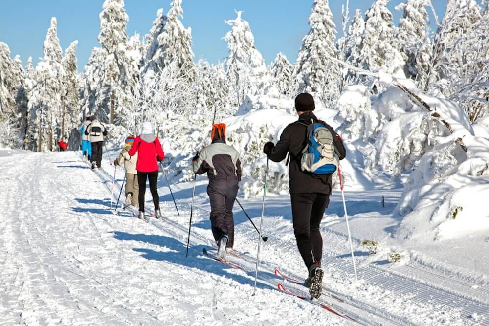Grupee beim Ski Langlauf im Harz